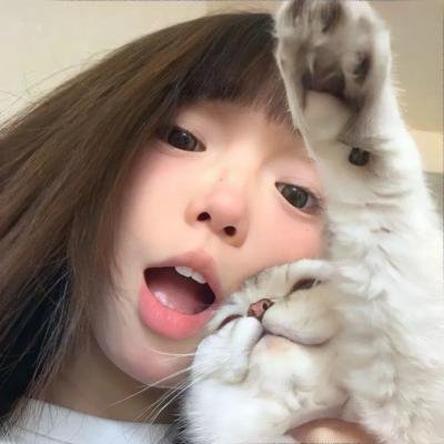 刺猬与城市